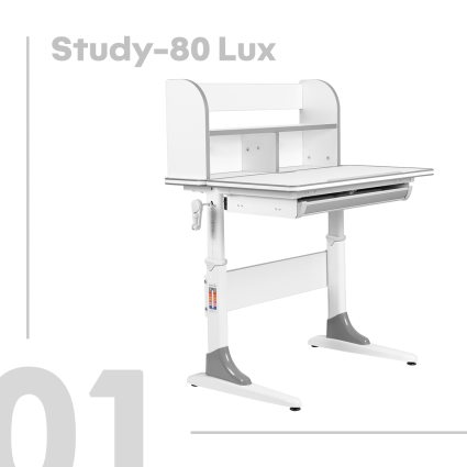 1. Anatomica Study-80 Lux